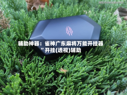 辅助神器：雀神广东麻将万能开挂器	”开挂(透视)辅助-第1张图片