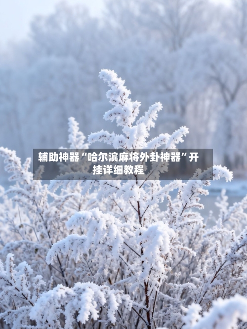 辅助神器“哈尔滨麻将外卦神器	”开挂详细教程-第2张图片