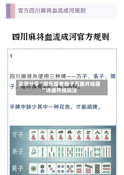 实测分享“微乐捉老麻子万能开挂器	”详细开挂玩法-第1张图片