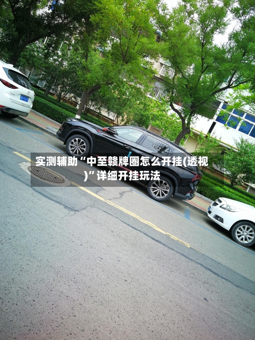 实测辅助“中至赣牌圈怎么开挂(透视)”详细开挂玩法-第1张图片