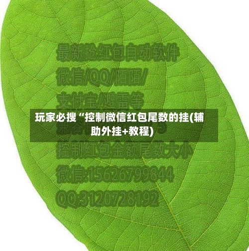 玩家必搜“控制微信红包尾数的挂(辅助外挂+教程)-第2张图片