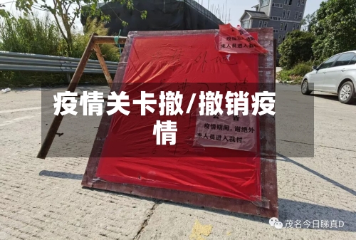 疫情关卡撤/撤销疫情-第3张图片