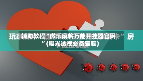 辅助教程“微乐麻将万能开挂器官网”(曝光透视必备猫腻)-第1张图片