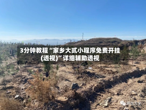 3分钟教程“家乡大贰小程序免费开挂(透视)	”详细辅助透视-第2张图片