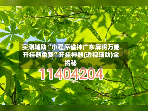 实测辅助“小程序雀神广东麻将万能开挂器免费	”开挂神器{透视辅助}全揭秘-第2张图片