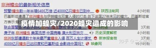疫情加蝗灾/2020蝗灾造成的影响-第2张图片