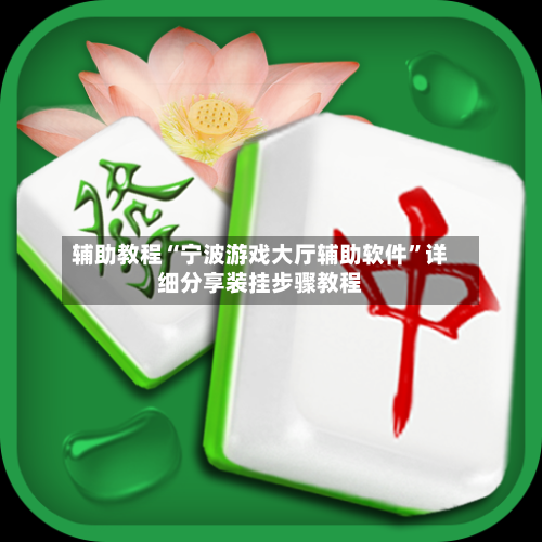 辅助教程“宁波游戏大厅辅助软件”详细分享装挂步骤教程-第2张图片