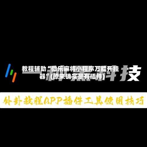 教程辅助“微乐麻将小程序万能开挂器”(原来确实是有插件)-第3张图片