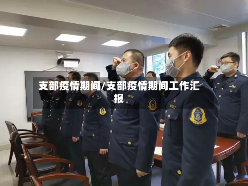 支部疫情期间/支部疫情期间工作汇报-第3张图片