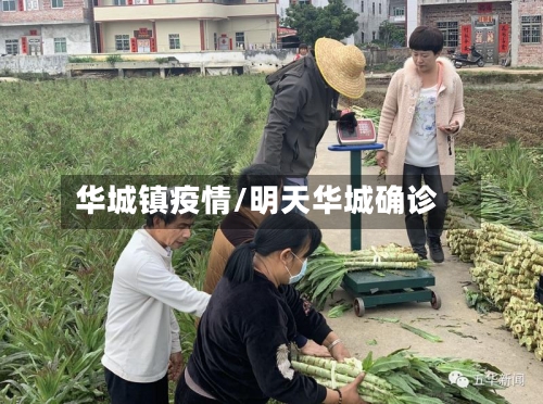 华城镇疫情/明天华城确诊-第3张图片