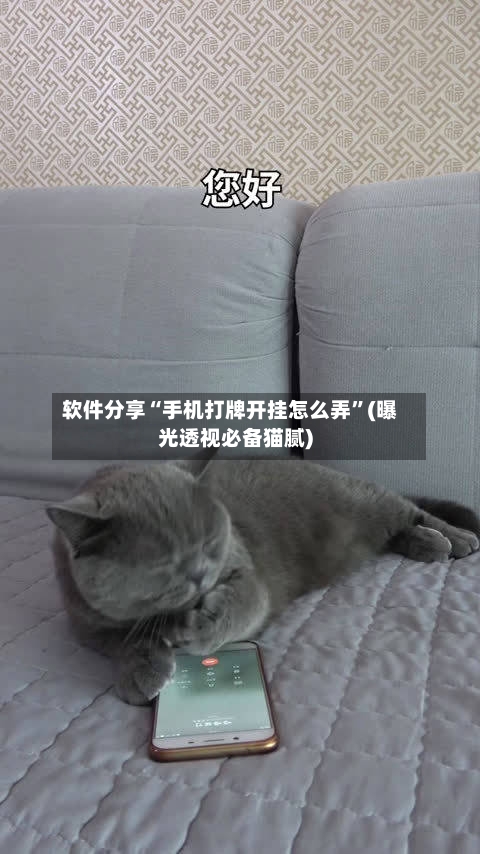 软件分享“手机打牌开挂怎么弄”(曝光透视必备猫腻)-第2张图片