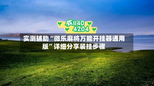 实测辅助“微乐麻将万能开挂器通用版”详细分享装挂步骤-第3张图片