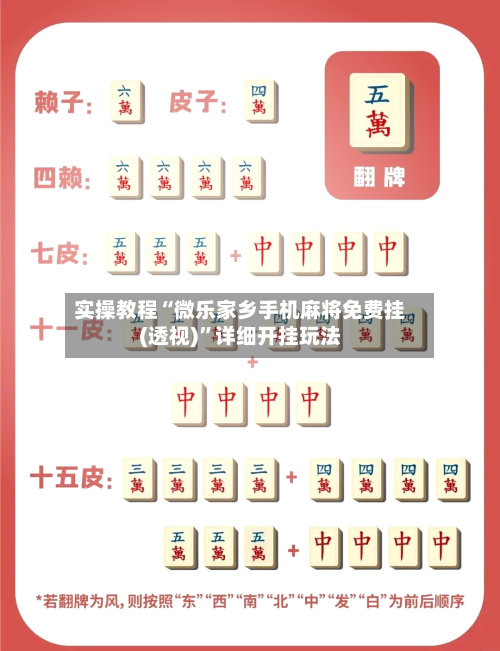 实操教程“微乐家乡手机麻将免费挂(透视)”详细开挂玩法-第2张图片