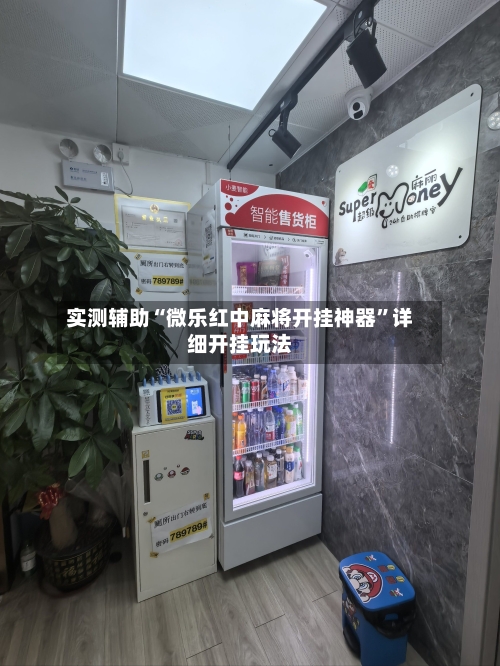 实测辅助“微乐红中麻将开挂神器”详细开挂玩法-第3张图片