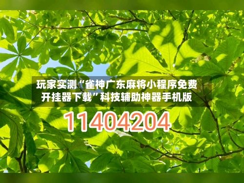 玩家实测“雀神广东麻将小程序免费开挂器下载”科技辅助神器手机版-第1张图片
