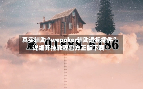 真实辅助“wepoker辅助透视插件”详细开挂教程官方正版下载-第1张图片