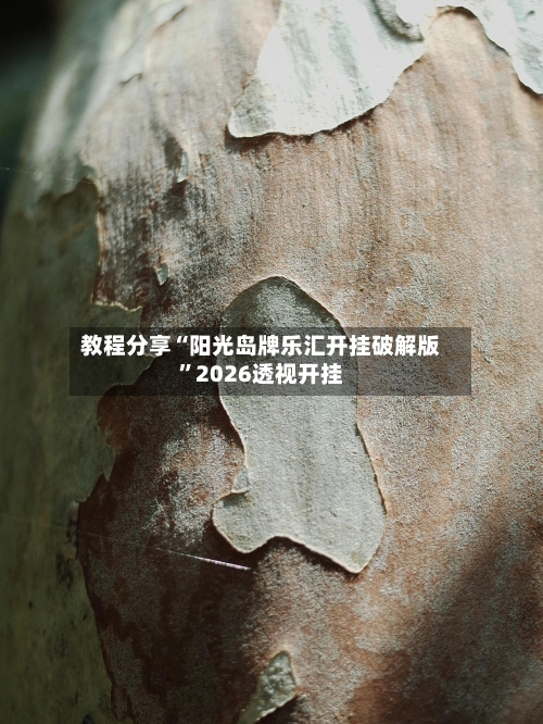 教程分享“阳光岛牌乐汇开挂破解版”2026透视开挂-第2张图片