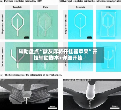 辅助盘点“微友麻将开挂器苹果”开挂辅助脚本+详细开挂-第2张图片