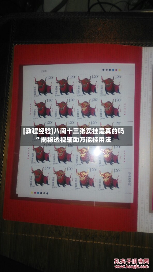 [教程经验]八闽十三张卖挂是真的吗”揭秘透视辅助万能挂用法-第2张图片