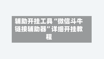 辅助开挂工具“微信斗牛链接辅助器”详细开挂教程-第2张图片