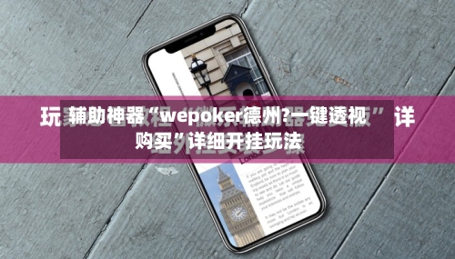 辅助神器“wepoker德州?一键透视购买”详细开挂玩法-第2张图片