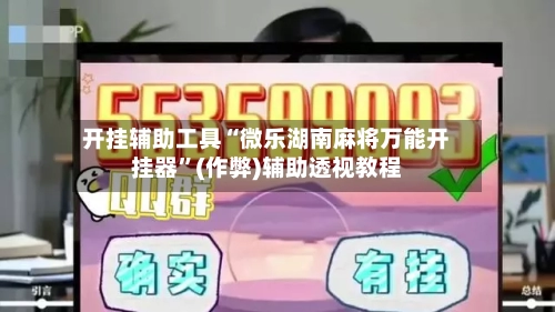 开挂辅助工具“微乐湖南麻将万能开挂器”(作弊)辅助透视教程-第3张图片