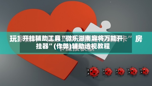 开挂辅助工具“微乐湖南麻将万能开挂器”(作弊)辅助透视教程-第2张图片