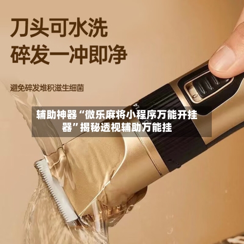 辅助神器“微乐麻将小程序万能开挂器”揭秘透视辅助万能挂-第2张图片