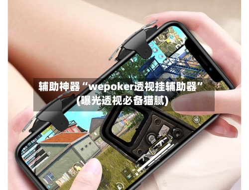 辅助神器“wepoker透视挂辅助器”(曝光透视必备猫腻)-第1张图片