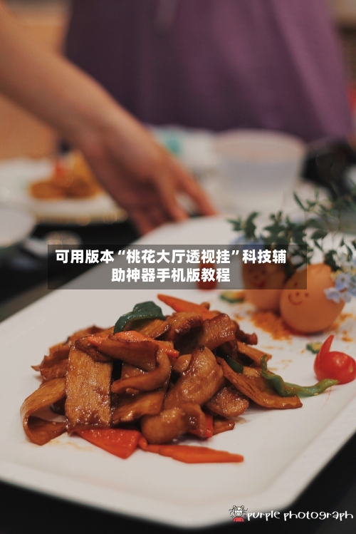 可用版本“桃花大厅透视挂”科技辅助神器手机版教程-第1张图片