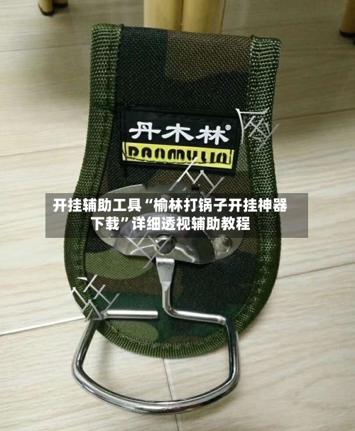 开挂辅助工具“榆林打锅子开挂神器下载”详细透视辅助教程-第2张图片