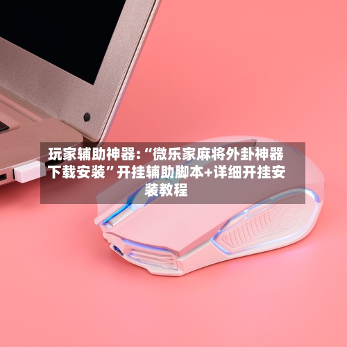 玩家辅助神器:“微乐家麻将外卦神器下载安装	”开挂辅助脚本+详细开挂安装教程-第3张图片