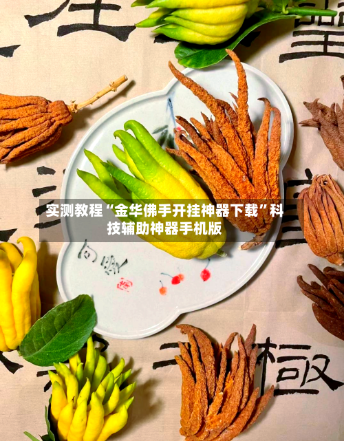 实测教程“金华佛手开挂神器下载”科技辅助神器手机版-第2张图片