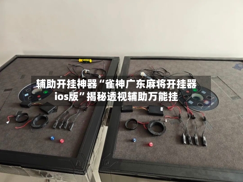 辅助开挂神器“雀神广东麻将开挂器ios版	”揭秘透视辅助万能挂-第2张图片