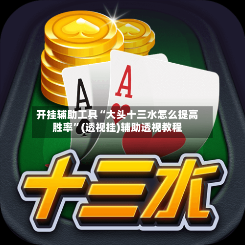 开挂辅助工具“大头十三水怎么提高胜率”(透视挂)辅助透视教程-第3张图片