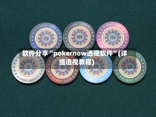 软件分享“pokernow透视软件”(详细透视教程)-第1张图片