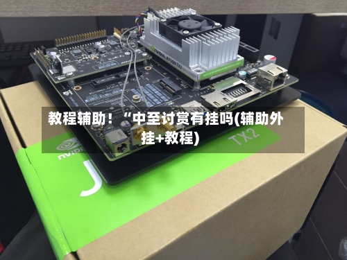 教程辅助！“中至讨赏有挂吗(辅助外挂+教程)-第2张图片