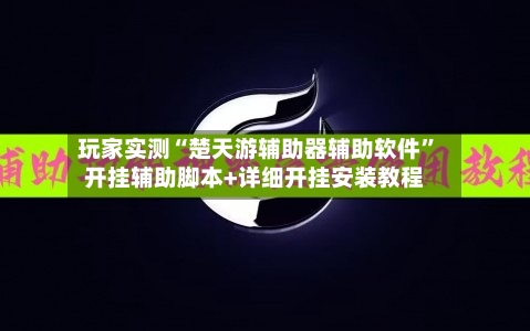 玩家实测“楚天游辅助器辅助软件”开挂辅助脚本+详细开挂安装教程-第1张图片