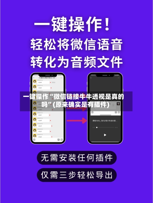 一键操作“微信链接牛牛透视是真的吗”(原来确实是有插件)-第2张图片