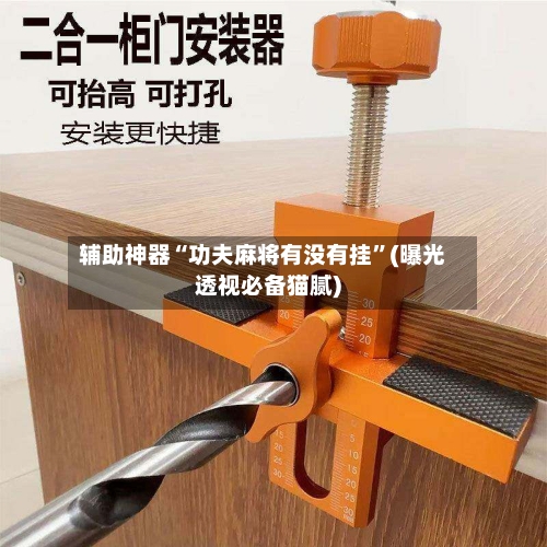 辅助神器“功夫麻将有没有挂”(曝光透视必备猫腻)-第3张图片