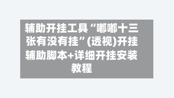 辅助开挂工具“嘟嘟十三张有没有挂”(透视)开挂辅助脚本+详细开挂安装教程-第2张图片