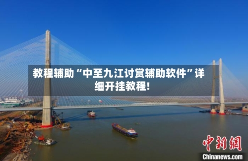 教程辅助“中至九江讨赏辅助软件	”详细开挂教程!-第2张图片