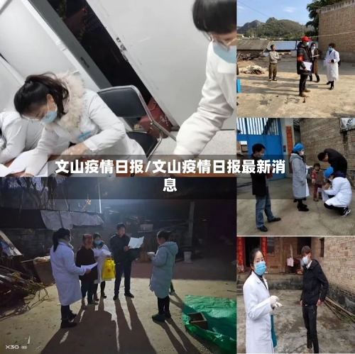 文山疫情日报/文山疫情日报最新消息-第2张图片