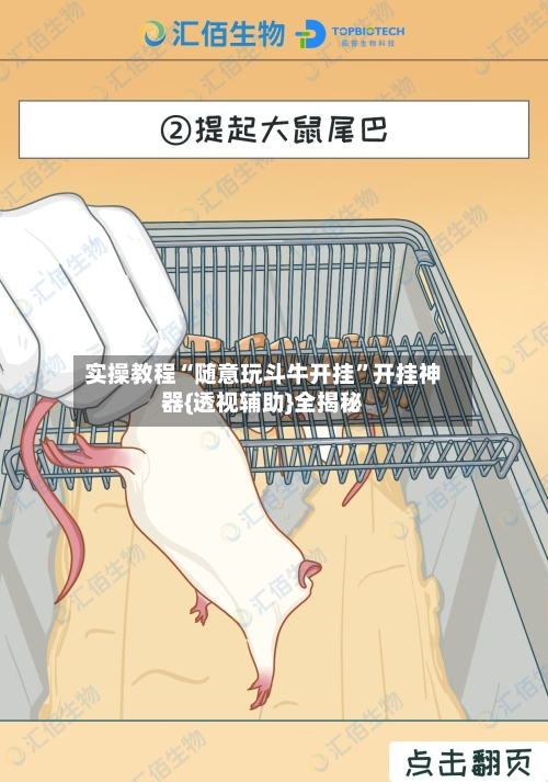 实操教程“随意玩斗牛开挂”开挂神器{透视辅助}全揭秘-第3张图片