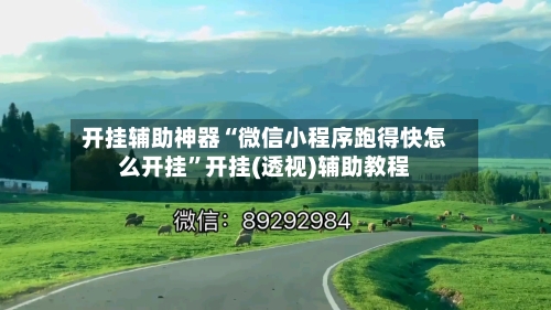 开挂辅助神器“微信小程序跑得快怎么开挂”开挂(透视)辅助教程-第2张图片