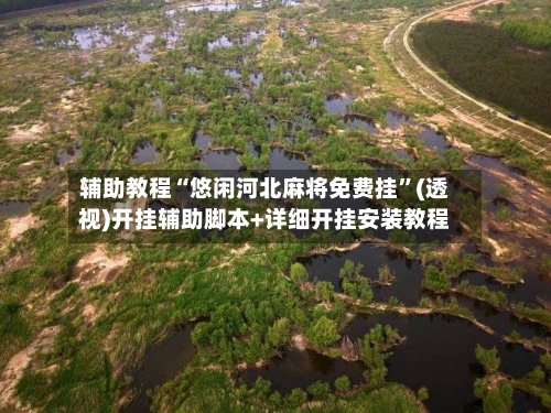 辅助教程“悠闲河北麻将免费挂”(透视)开挂辅助脚本+详细开挂安装教程-第2张图片