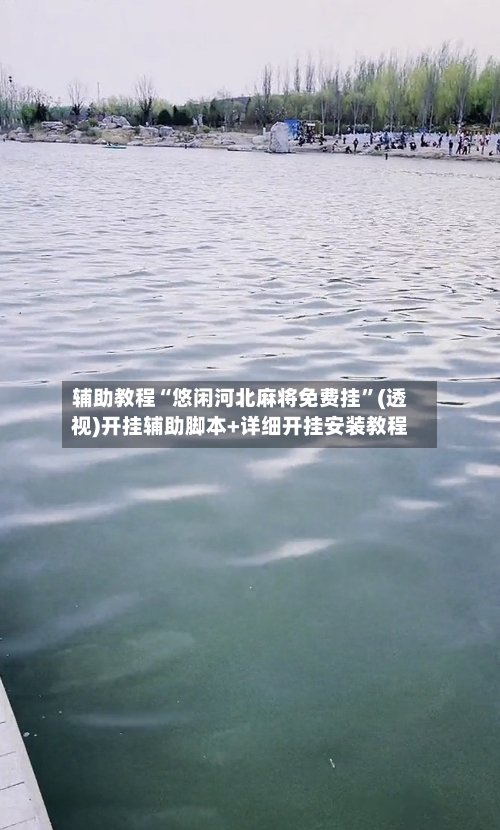 辅助教程“悠闲河北麻将免费挂”(透视)开挂辅助脚本+详细开挂安装教程-第1张图片