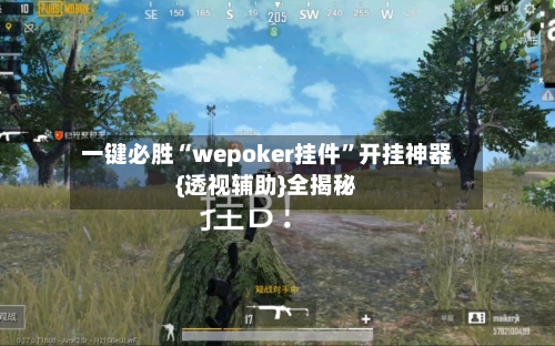 一键必胜“wepoker挂件”开挂神器{透视辅助}全揭秘-第2张图片