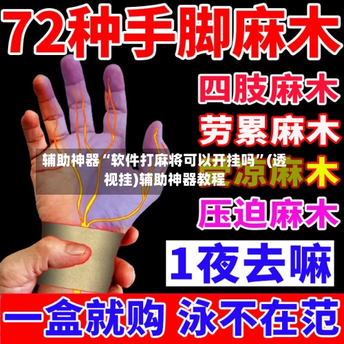 辅助神器“软件打麻将可以开挂吗”(透视挂)辅助神器教程-第3张图片