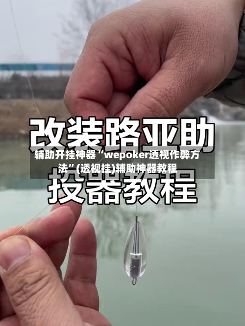 辅助开挂神器“wepoker透视作弊方法”(透视挂)辅助神器教程-第2张图片